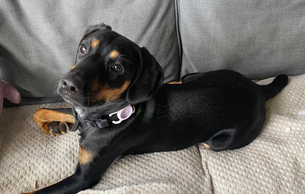 Making a start&nbsp;…